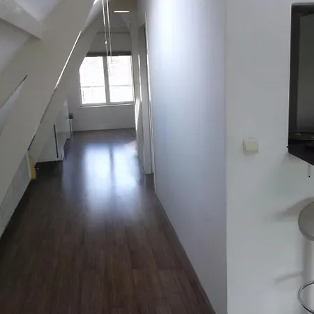 Apartment Mycitylofts - Schiedamseweg *